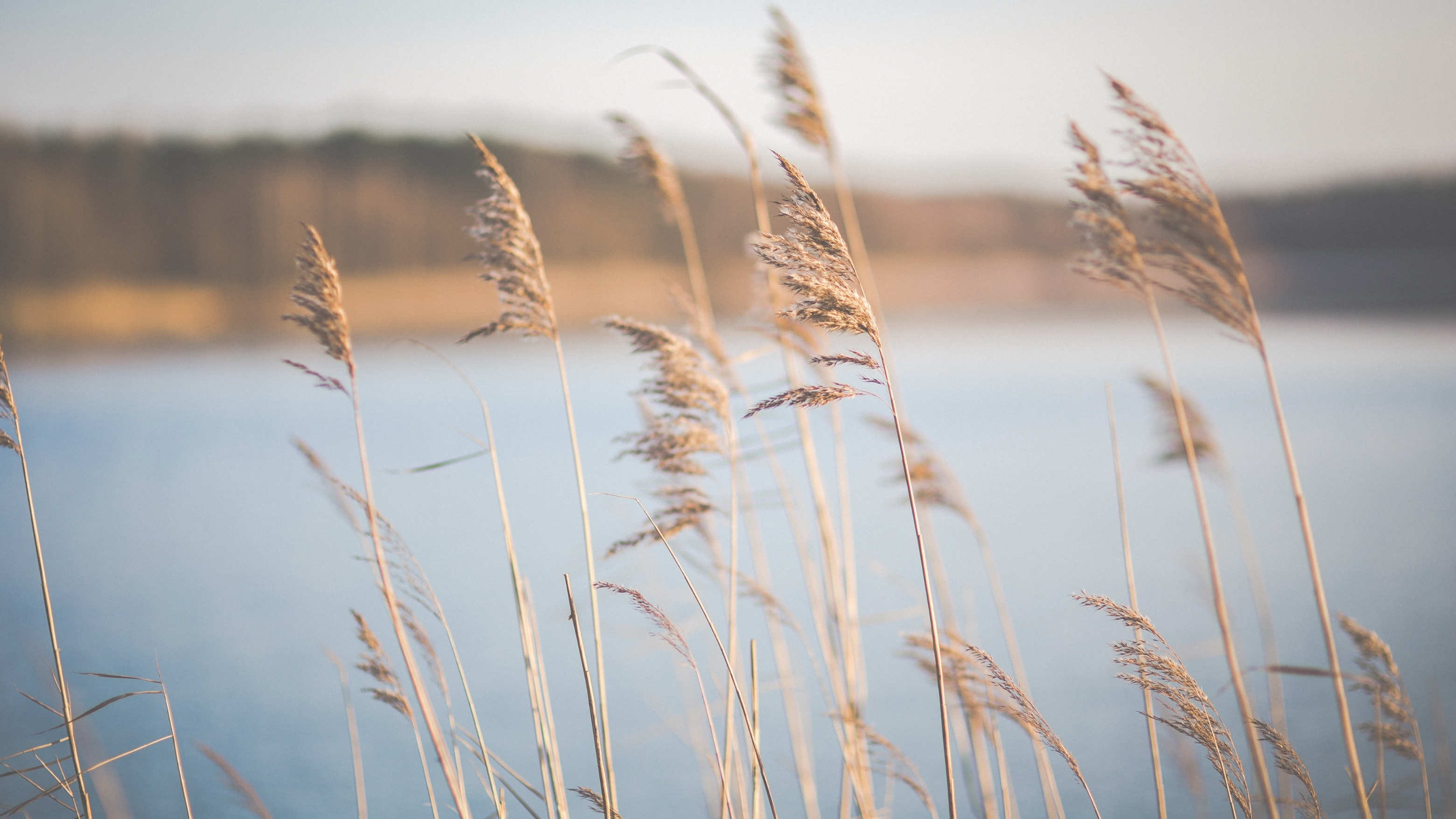 Seebestattung – Blick aufs Meer