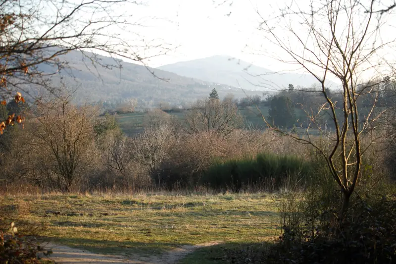 Landschaft am Prinzenberg bei Darmstadt-Eberstadt mit Blick zum Melibokus