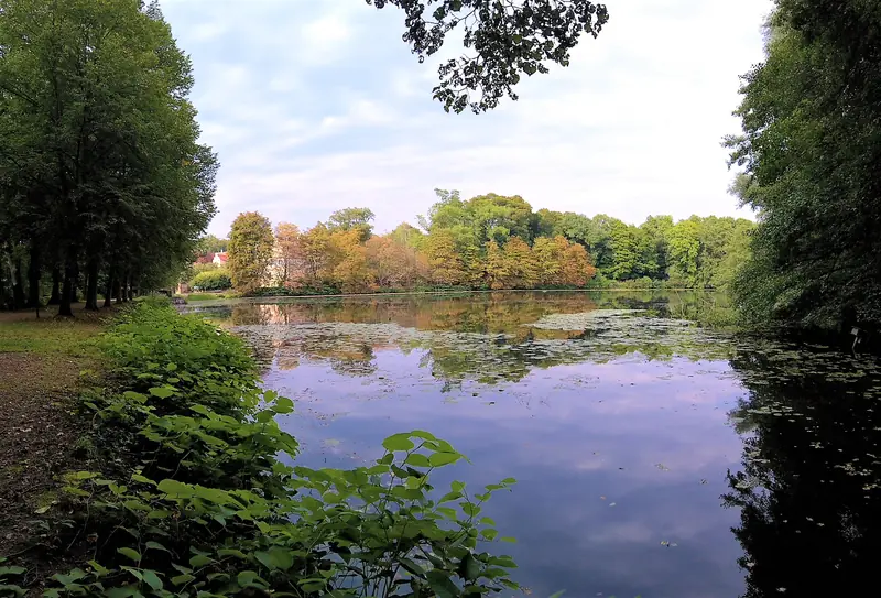 Der Backhausteich am Jagdschloss Kranichstein mit Bäumen im Herbst