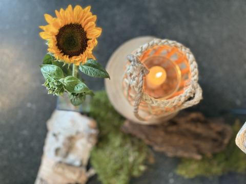 7707-3DECHERTBestattungen