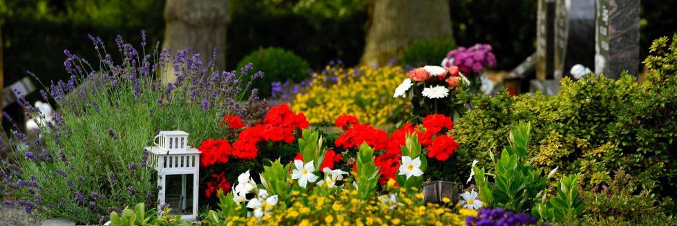 DECHERT Bestattungen congerdesign Waldfriedhof